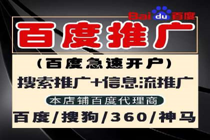 SEM网络推广案例：打造行业影响力品牌